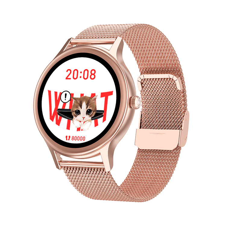 Stainless Smart Watch